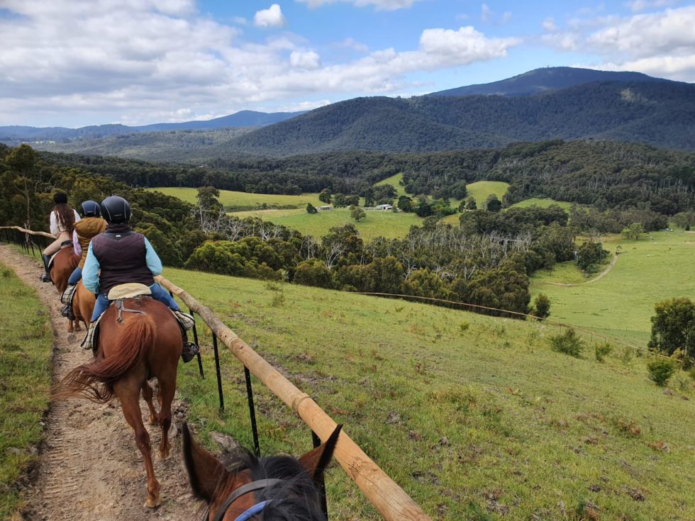 horse riding winery tour yarra valley